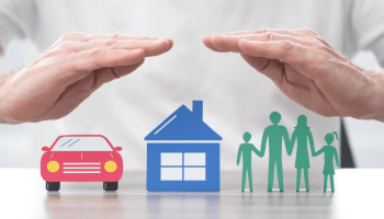 O ecossistema da manutenção do próprio patrimônio