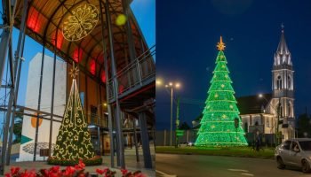 Curitiba oferece mais de 50 árvores de Natal espalhadas pela cidade até 6 de janeiro