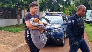 Interior da casa coberto por sangue e cachorro ferido reforçam a gravidade das s