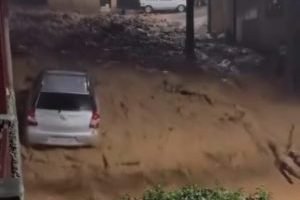 download-_1_-1-300x219-1