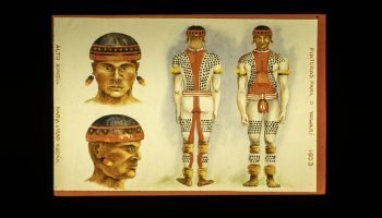 Foto: Governo do Paraná