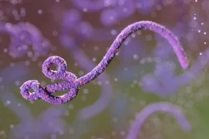 ebola-metropolesjpg006458180202606132249.webp.webp