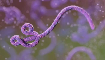 ebola-metropolesjpg006458180202606132249.webp.webp