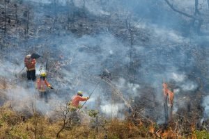Foto: Terra Brasil Notícias