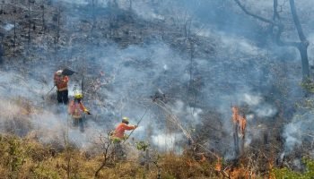 Foto: Terra Brasil Notícias