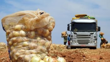 Região de Guarapuava oferece mais de 20 vagas para serviços gerais