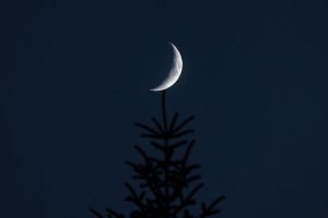 Lua minguante domina domingo