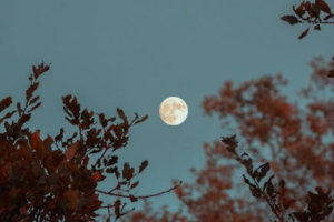 Lua Cheia Ilumina Segunda-feira (08/12) e Influencia Emoções e Natureza