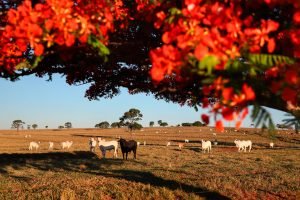 fd2c818e82223eec899a80091b7f33475b956fd4