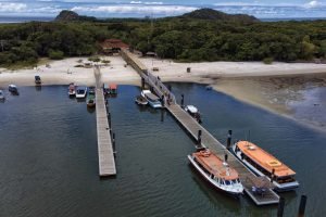 Foto: Governo do Paraná