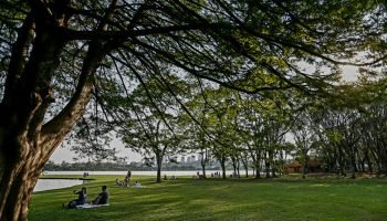 Frente Fria Marca Início da Semana no Paraná com Chuvas e Temporais