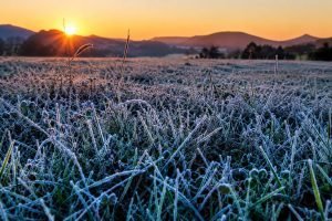 frio-300x200-1