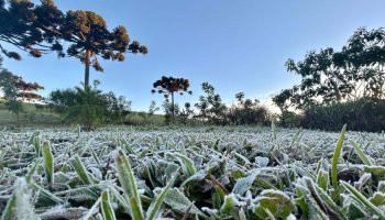 O frio no Paraná deve ser sentido em todo o estado, mas com intensidades diferen