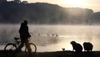 Temperaturas despencam e Paraná amanhece com mínima de 5,6°C no sul do Paraná