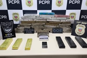 Foto: Governo do Paraná