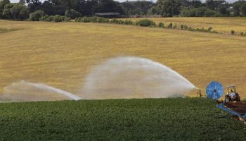 BRDE injeta R$ 133,4 milhões no desenvolvimento e sustentabilidade no campo em 2025