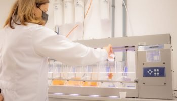 Universidades estaduais aumentam número de programas bem avaliados pela Capes