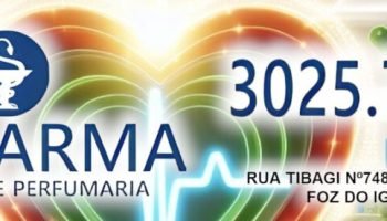 O papel crítico da filosofia na educação