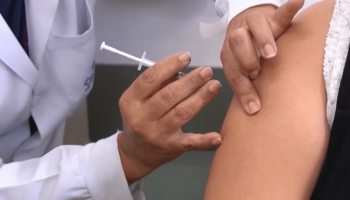 Gripe K: sintomas, risco e vacinação