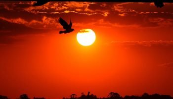 Guaraqueçaba registra sensação térmica de 52,6°C, um dos dias mais quentes do ano