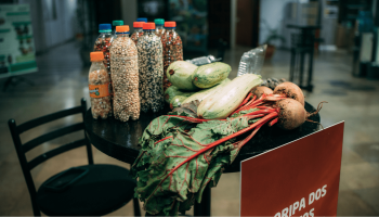 Estudantes Ampliam Hortas em Escolas do Paraná Inspirados no Campo