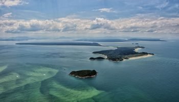 Paraná avança na execução de R$ 639,5 milhões em projetos ambientais da Petrobras