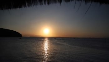 Foto: Governo do Paraná