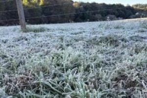 image-2026-04-27-085746-300x169-1