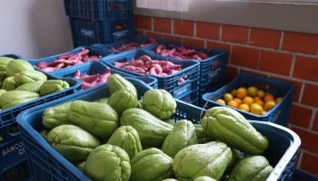 Seab orienta evitar desperdício de alimentos