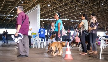 Foto: Governo do Paraná