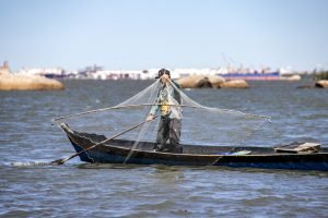 Foto: Governo do Paraná