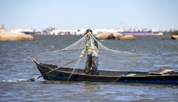 Foto: Governo do Paraná