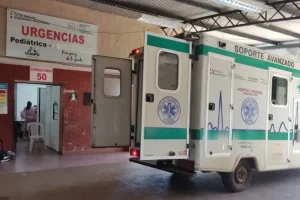 infestacao-de-pulgas-fecha-ala-neonatal-e-obriga-transferencia-de-bebes-em-cde-6a9642b2421ab