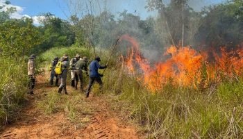 Itaipu registra menor índice de incêndios florestais em 2025