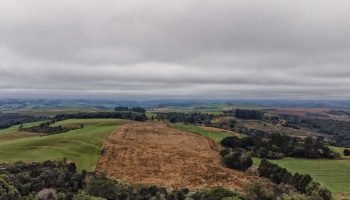 IAT regulamenta licenciamento ambiental para atividades agrícolas de baixo impacto