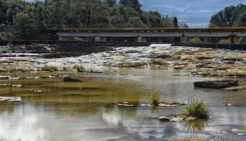Foto: Governo do Paraná