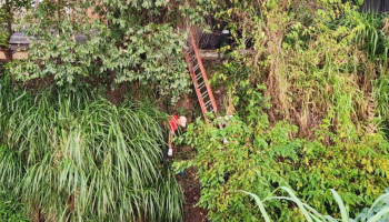 Jovem de 25 anos encontrado morto com sinais de facadas nas margens do Rio Palmital