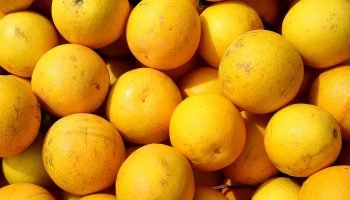 Hortigranjeiros do Paraná reduzem preços no atacado em 2026