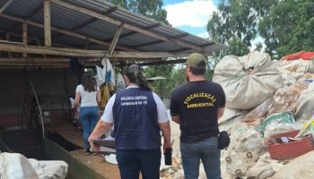 Operação contra depósitos irregulares em Laranjeiras do Sul terminou com R$ 50 mil em multas por crimes ambientais (Foto: IAT)