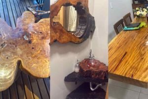 madeira-lei-parque-nacional-iguacu