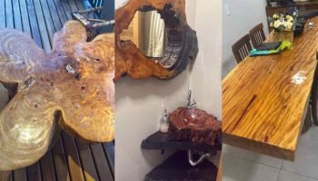 madeira-lei-parque-nacional-iguacu