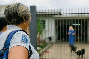 mais-esta-el-nino-pode-trazer-um-novo-problema-para-foz-nos-proximos-meses-6a92edf04c1ca