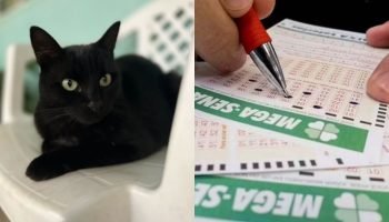 Quem é Gato Milu, o “vidente” que faz revelações sobre famosos e Mega da Virada