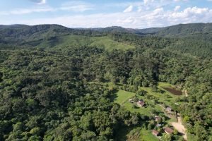 Foto: Governo do Paraná