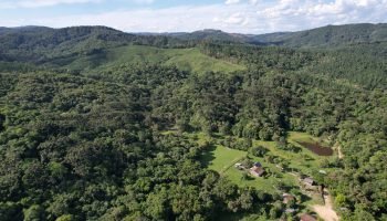 Foto: Governo do Paraná