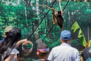 moradores-de-foz-do-iguacu-e-regiao-pagam-r-15-para-visitar-o-zoo-park-ate-dia-31-6a88abc7c30bf