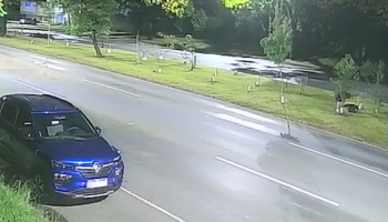 Polícia identifica mulher que destruiu mais de 80 árvores em Curitiba