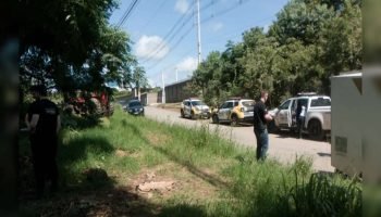 Mulher seminua encontrada morta em mata de Ponta Grossa
