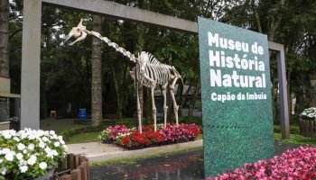 Museu de História Natural de Curitiba oferece oficina de pegadas para crianças