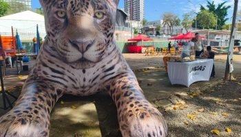 onca-pintada-gigante-chama-atencao-do-publico-na-feira-do-livro-ate-domingo-6a9ae3c27559b